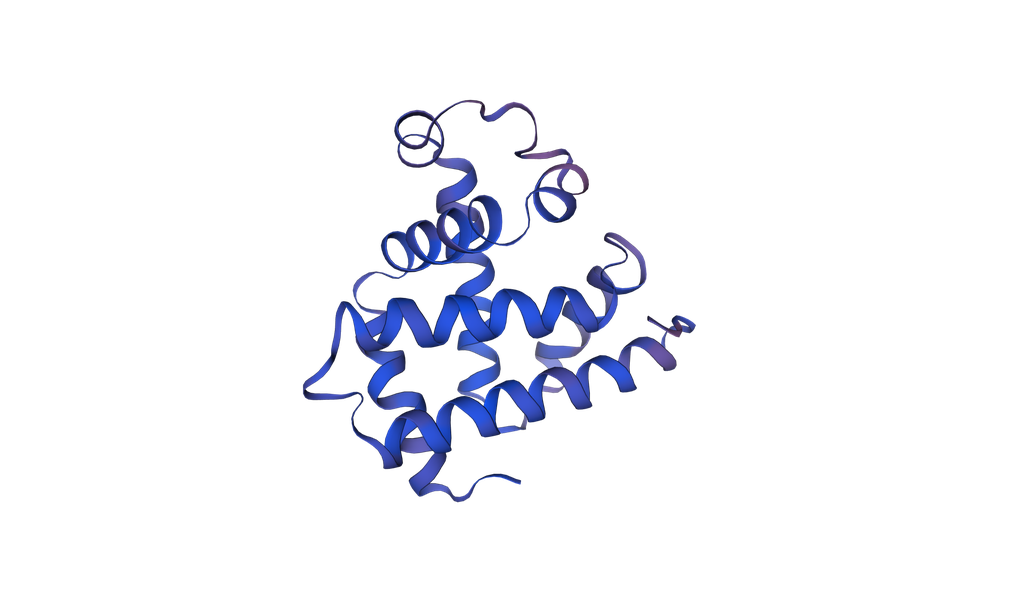 Recombinant Bovine Myoglobin (MB), Tag-free - 1 mg