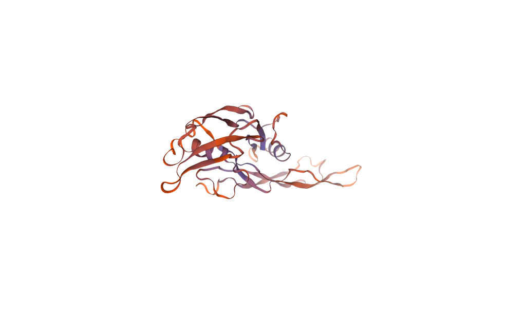 Recombinant Mouse Muellerian-inhibiting factor (Amh), partial (450-552aa), N-terminal 6xHis-tag, E. coli expression - 100 ug