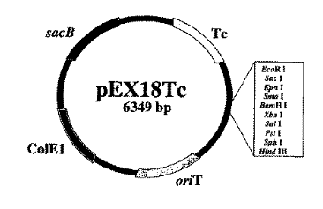 PEX18TC, 2 ug