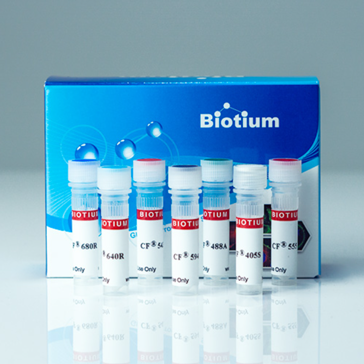 Annexin V Conjugates - 0.5 mL, CF®488A -