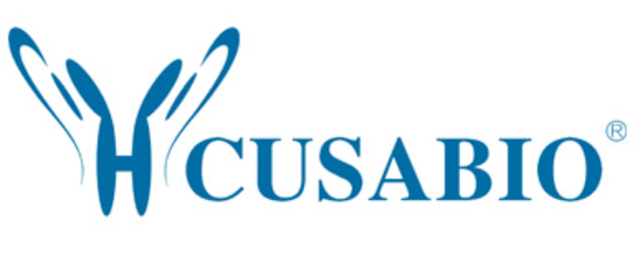 Rabbit anti-Porphyromonas gingivalis kgp Polyclonal antibody - 100ug