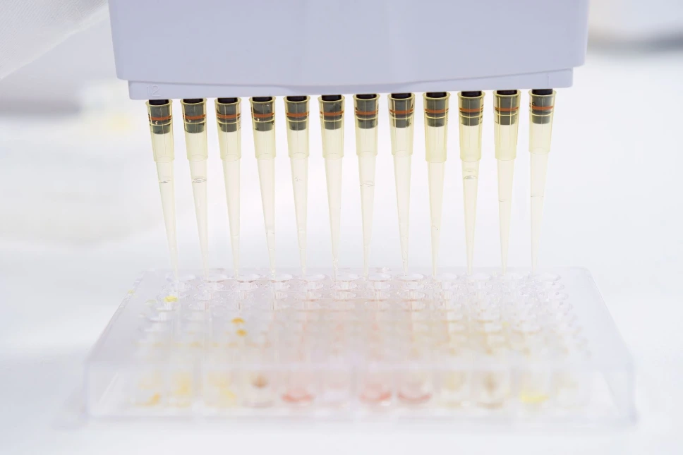  Human Cross Linked C-Telopeptide Of Type I Collagen (CTXI) ELISA Kit - 96-wells plate