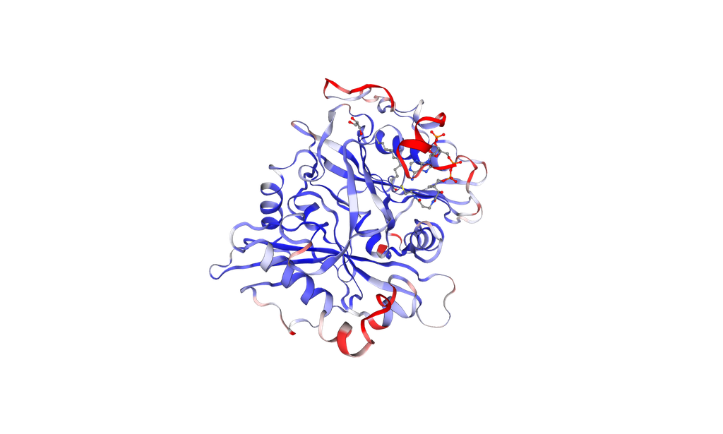Recombinant Human NMT1 protein, N-terminal His Tag - 200 ug