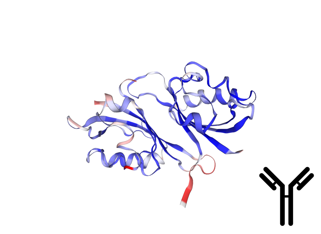 Anti-HIF-1 Alpha (HIF1A) Rabbit Monoclonal Antibody [Clone: RM242] - 100 ul